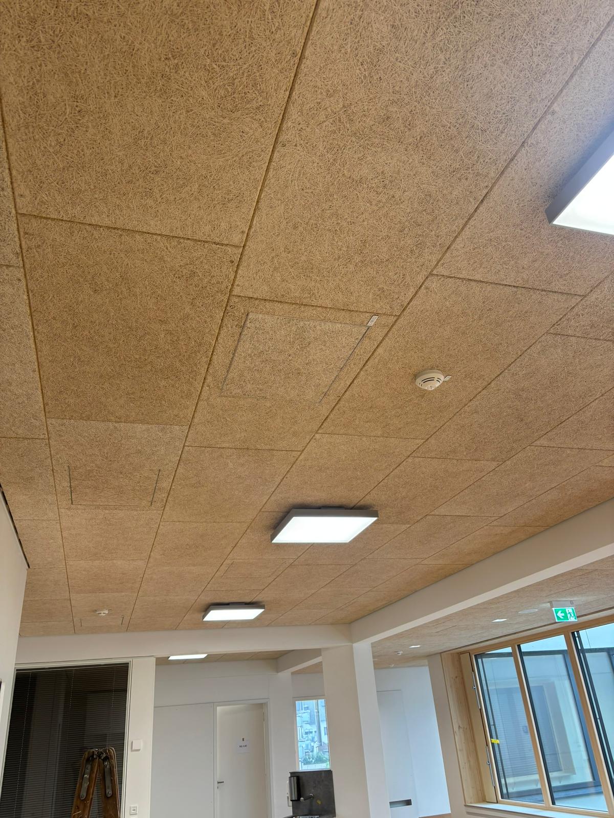 Karl-Treutel School – Kelsterbach image 14